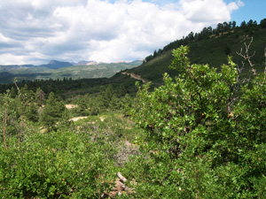 Durango Colorado Western Neighborhoods Elk Stream and Elk Springs