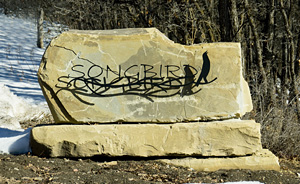 Durango Colorado In-Town Neighborhoods Songbird