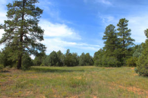Land for sale Durango CO another level building area