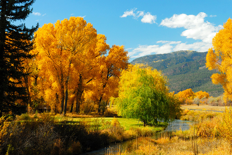 Animas Valley fall colors north of Durango